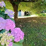 Le Petit * Jumilhac-le-Grand