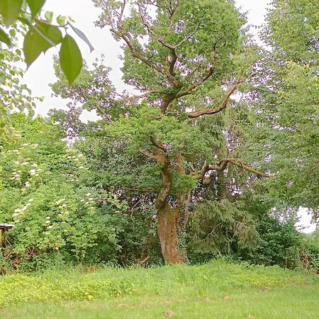 Le Petit Nyaraló Jumilhac-le-Grand