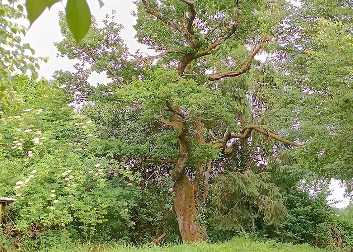 Le Petit Дом отдыха Jumilhac-le-Grand